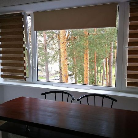 Light One Room Apartment Visaginas Bagian luar foto
