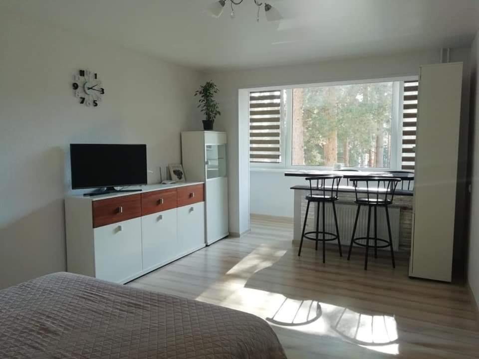 Light One Room Apartment Visaginas Bagian luar foto