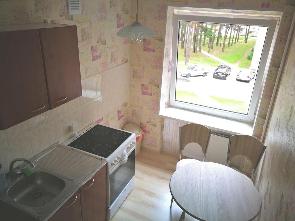 Light One Room Apartment Visaginas Bagian luar foto